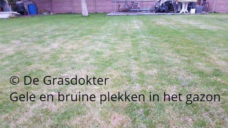 geel, kaal en bruin gras