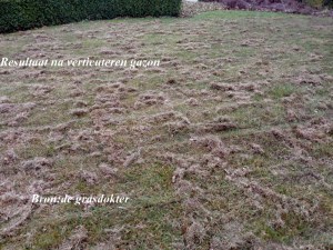 verticuteren, bron;de grasdokter