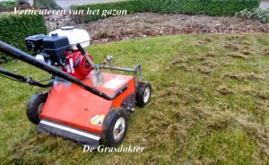 verticuteren bron: de grasdokter