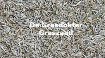 wanneer kun je het gazon bijzaaien