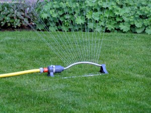 wanneer gazon sproeien