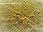 gras verticuteren
