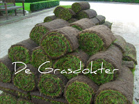  stappenplan gras leggen