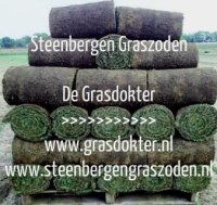 gras leggen