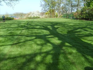 bemestingsschema gazon