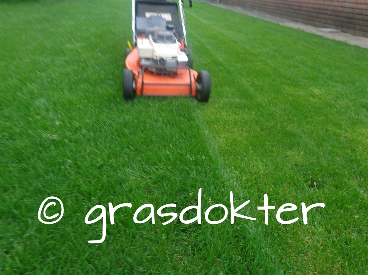 maaien gazon