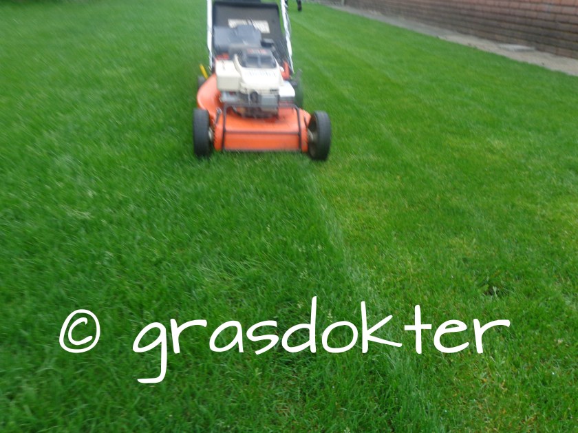 maaien gazon