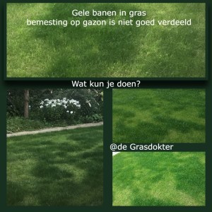 bemesting op gazon niet goed verdeeld