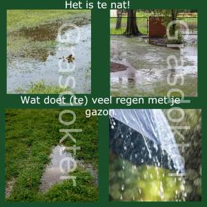 te veel water op gazon