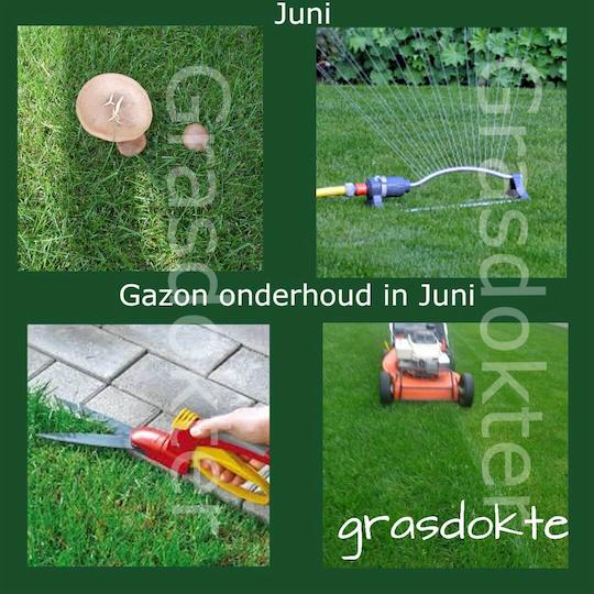gazon onderhoud juni