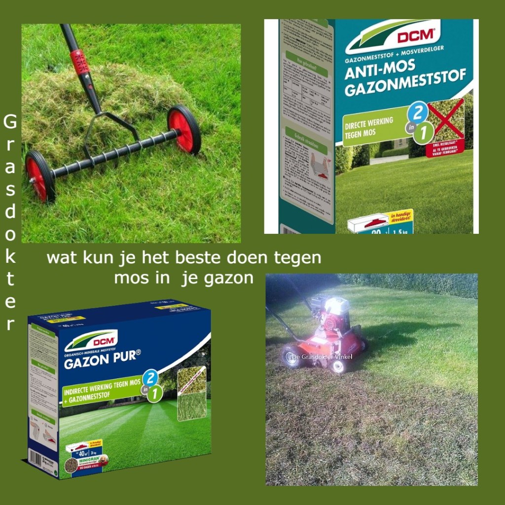 wat kun je het beste doen tegen mos in je gazon